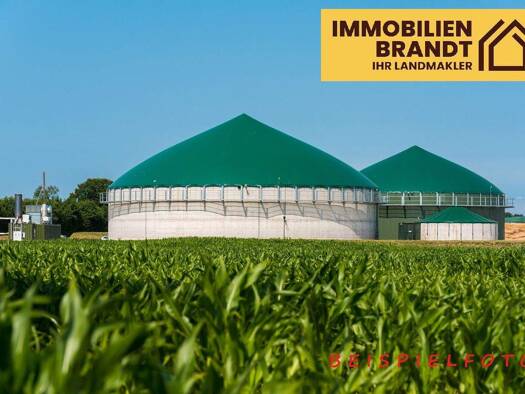 Land-/Forstwirtschaft zum Kauf Selsingen 27446