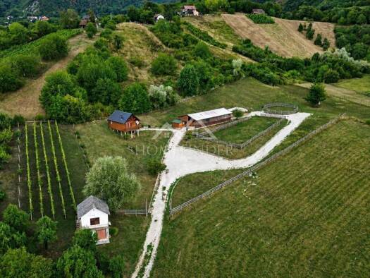 Einfamilienhaus zum Kauf 320.000 € 1 Zimmer 60 m² Sveta Jana, Jastrebarsko - Okolica Jastrebarsko 10450
