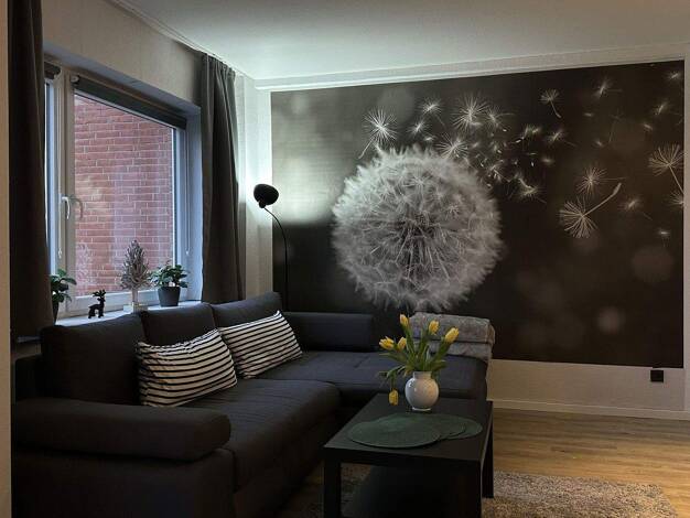 Wohnung zum Kauf provisionsfrei 299.000 € 2 Zimmer 55 m² 2. Geschoss Grömitz 23743