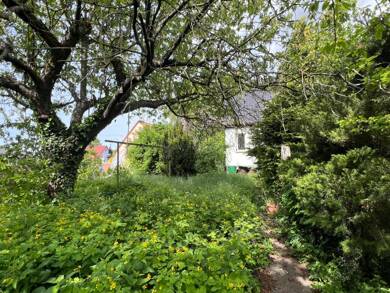 Haus zum Kauf 5 Zimmer 131,5 m² 839 m² Grundstück frei ab sofort Grimma Grimma 04668