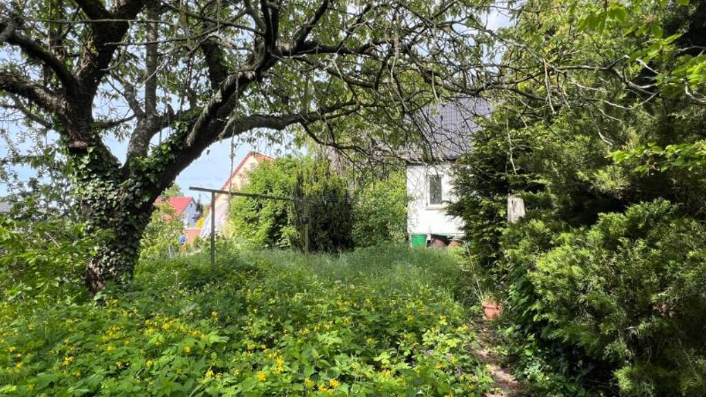 Haus zum Kauf 5 Zimmer 131,5 m² 839 m² Grundstück frei ab sofort Grimma 04668