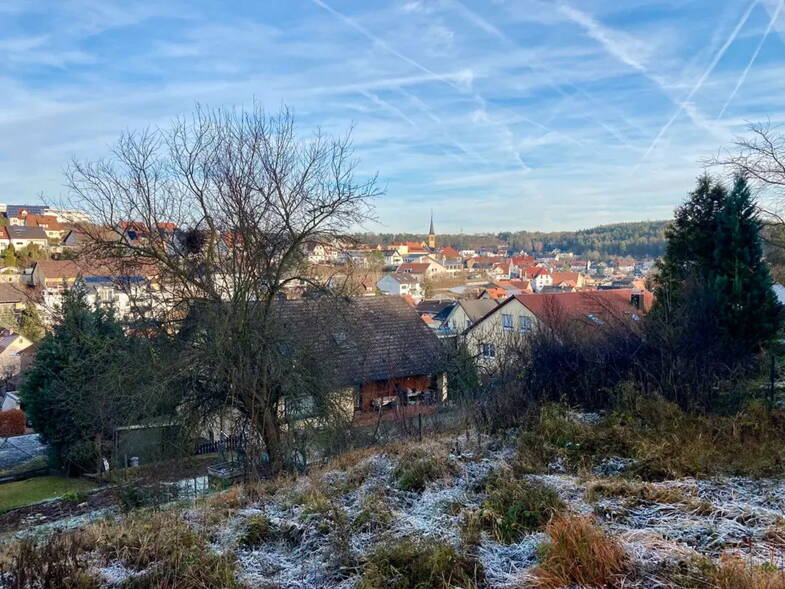 Grundstück zum Kauf provisionsfrei 159.000 € 448 m² Grundstück Winterleitenweg 24 Güntersleben 97261