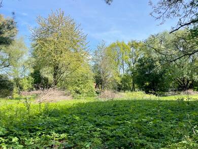 Gewerbegrundstück zum Kauf provisionsfrei 4.866 m² Grundstück Adendorf Adendorf 21365
