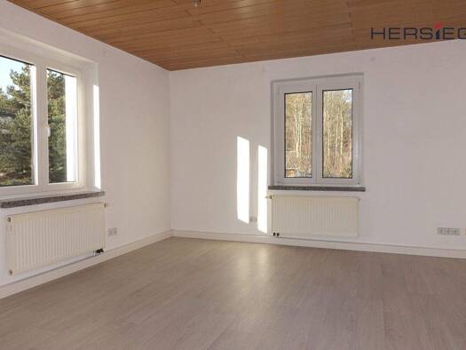 Wohnung zur Miete 395 € 4 Zimmer 90 m² 2. Geschoss Walthersdorf 09474