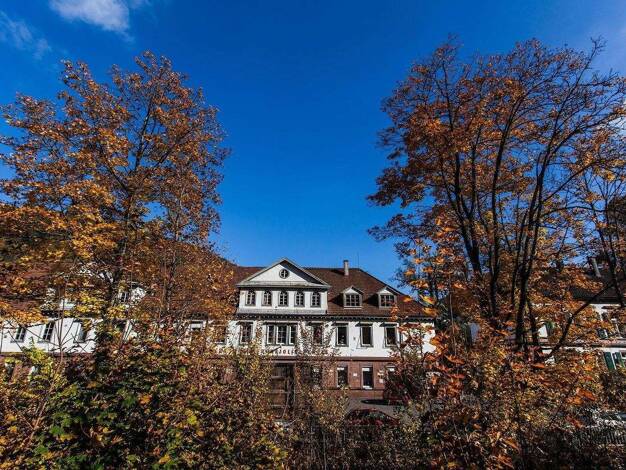 Werkstatt zur Miete provisionsfrei 15.000 m² Lagerfläche Schiltachstrasse, 28 Schramberg Baden-Württemberg - Schramberg 78713