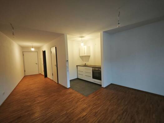 Wohnung zur Miete 400 € 1 Zimmer 34 m² 3. Geschoss Baumannstraße 13 Stadtgebiet Furtwangen im Schwarzwald 78120