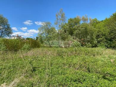 Grundstück zum Kauf 159.000 € 26.788 m² Grundstück Scharfenstein Scharfenstein 09430