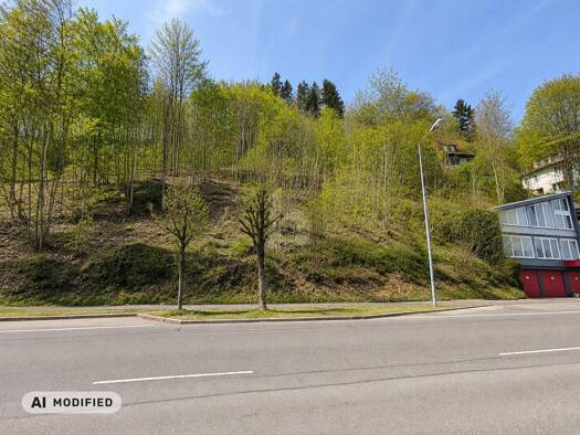 Grundstück zum Kauf 99.000 € 2.595 m² Grundstück Ebingen Albstadt 72458