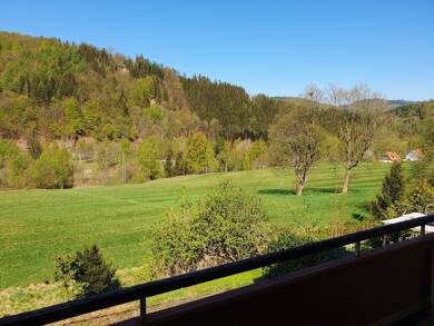 Wohnung zum Kauf 35.000 € 1 Zimmer 44 m² EG frei ab sofort Lautenthal Langelsheim 38685