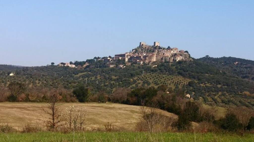 Grundstück zum Kauf 26.000 € 21.000 m² Grundstück Montemassi 58027