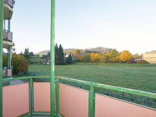 Wohnung zur Miete 320 € 2 Zimmer 52,3 m² EG Turnstraße 5 Burkhardtsdorf Burkhardtsdorf, Erzgebirgskreis 09235