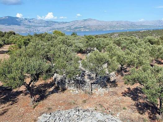 Grundstück zum Kauf 81.000 € 8.100 m² Grundstück Brac