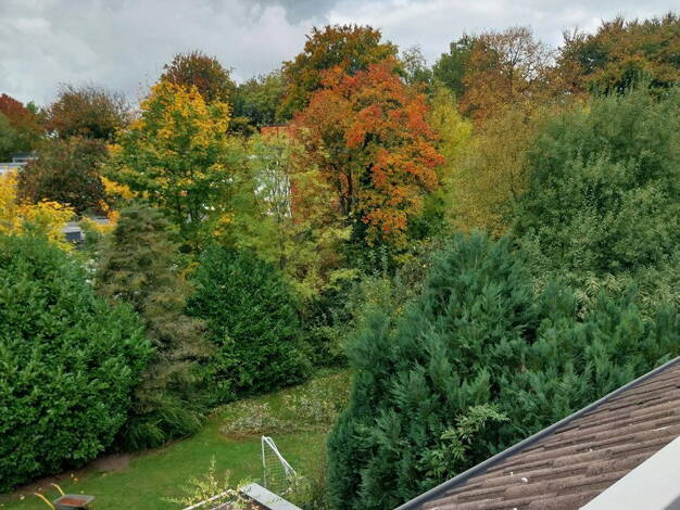 Wohnung zur Miete 500 € 2 Zimmer 61 m² 2. Geschoss Wambel Dortmund 44143