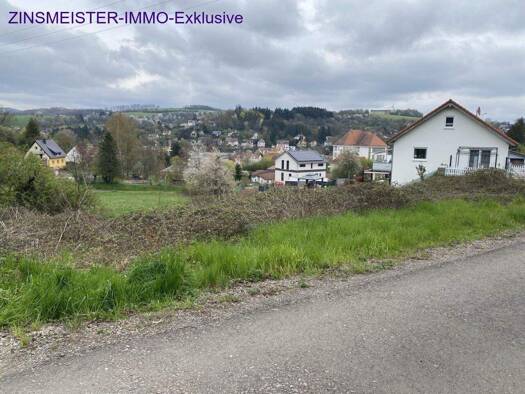 Grundstück zum Kauf 75.000 € 1.149 m² Grundstück Kusel 66869