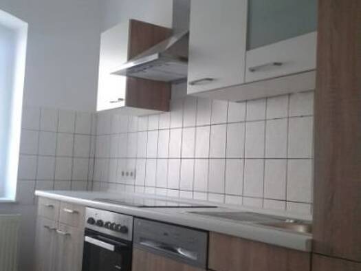 Wohnung zur Miete 342 € 2 Zimmer 52 m² EG frei ab 01.03.2026 Voigtsberger Str. 12 Oelsnitz 08606