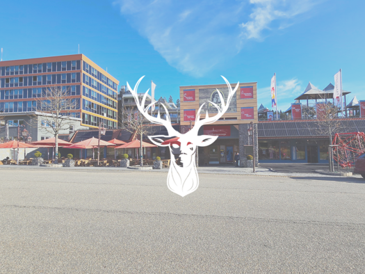 Restaurant zur Miete 5.500 € 720 m² Gastrofläche Feldberg 79868