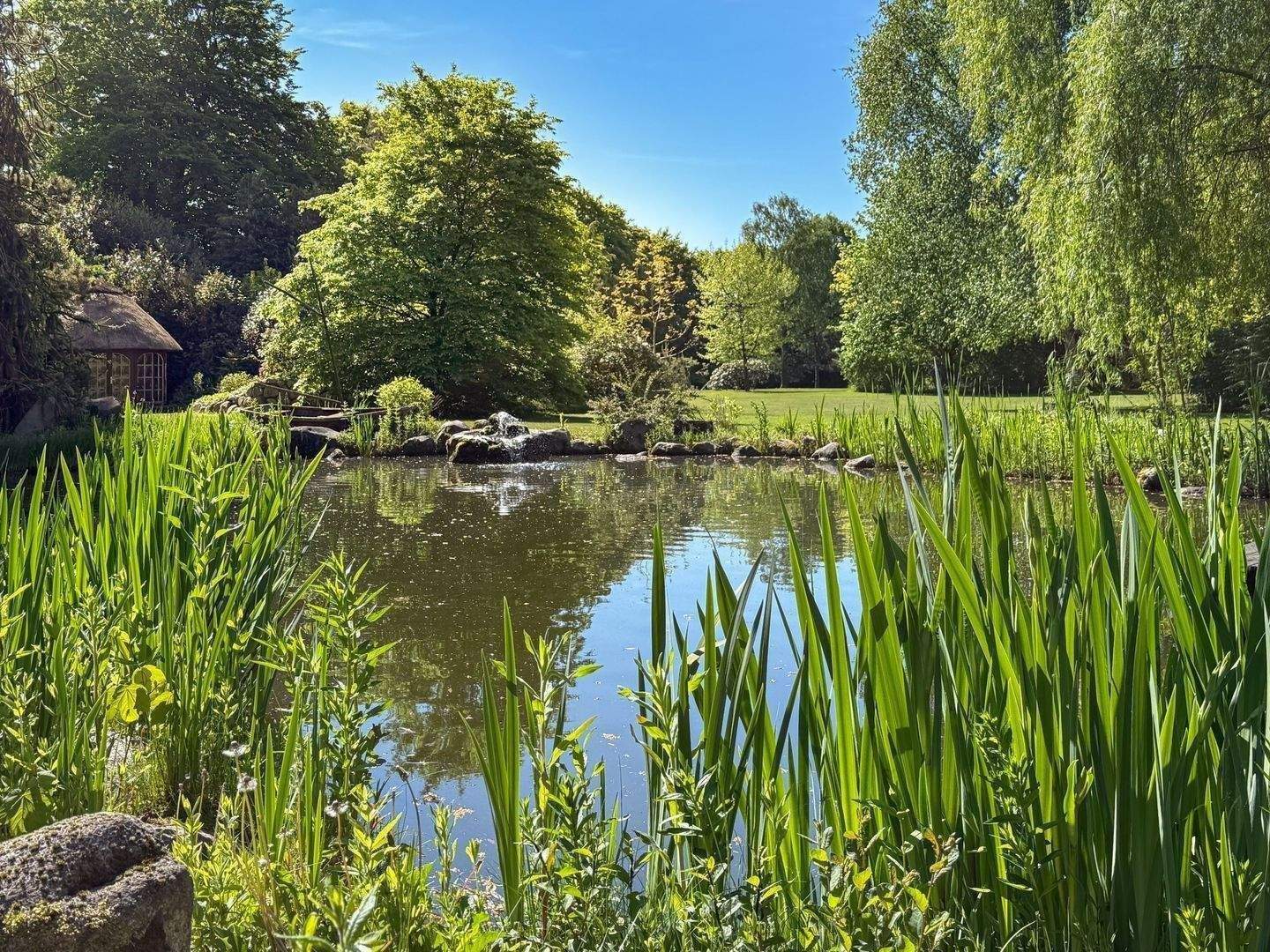 Immobilie in Rickert - Exklusives Landhausanwesen mit Parkgrundstück – Rückzugsort der Extraklasse in Schleswig-Holstein - Bild 3