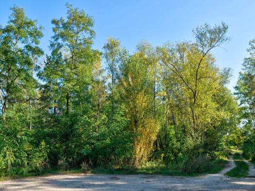 Grundstück zum Kauf 720.000 € 699 m² Grundstück Kleinmachnow 14532