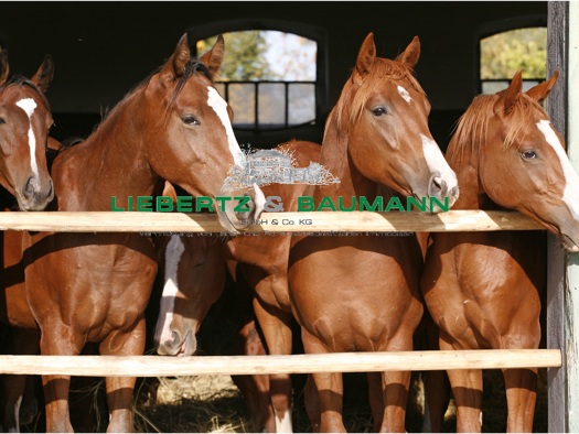 Reiterhof zum Kauf 9.900.000 € 250.000 m² Kaiserswerth Düsseldorf 40489