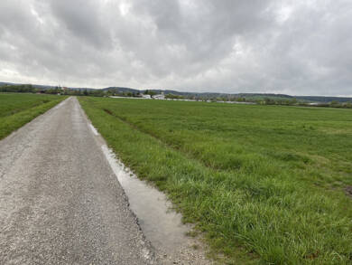 Land-/Forstwirtschaft zum Kauf 22.698 m² Grundstück Dachsbach Dachsbach 91462