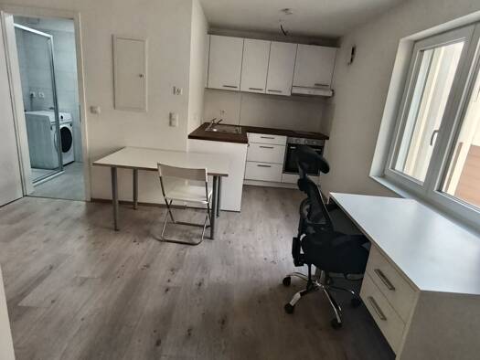 Studio zur Miete 450 € 1 Zimmer 20 m² Geschoss EG/1 frei ab sofort Langenau Schopfheim 79650