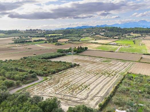 Grundstück zum Kauf 200.000 € 18.600 m² Grundstück Muro 07440