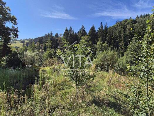 Grundstück zum Kauf 150.000 € 1.261 m² Grundstück Spiegelberg 71578