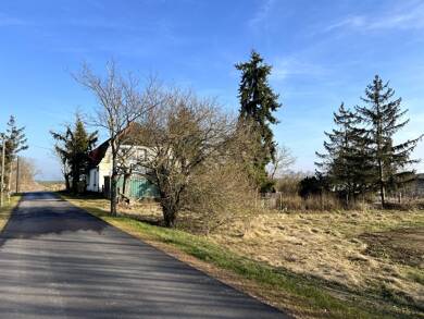 Einfamilienhaus zum Kauf provisionsfrei 120.000 € 4 Zimmer 135 m² 600 m² Grundstück Benndorfer Straße 10 Dieskau Kabelsketal 06184