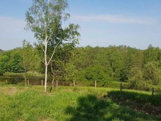 Grundstück zum Kauf provisionsfrei 85.900 € 740 m² Grundstück Oschitzer Strasse 14 / in zweiter Reihe Schleiz 07907