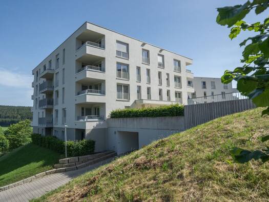 Wohnung zur Miete 682 € 2 Zimmer 62 m² frei ab sofort Stadtgebiet Sankt Georgen im Schwarzwald 78112