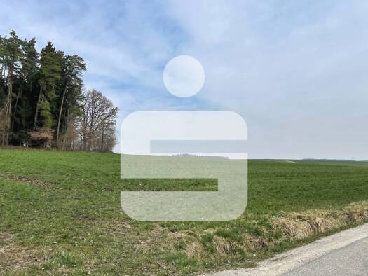 Land-/Forstwirtschaft zum Kauf 145.000 € 11.237 m² Grundstück Taubendorf Gangkofen 84140