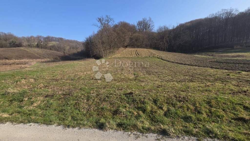 Land-/Forstwirtschaft zum Kauf 16.000 € Sveti Kriz Zacretje