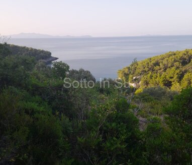 Land-/Forstwirtschaft zum Kauf 550.000 € Korcula Blato center