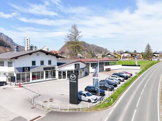 Halle/Industriefläche zur Miete 14,23 € 345 m² Lagerfläche Hallein 5400
