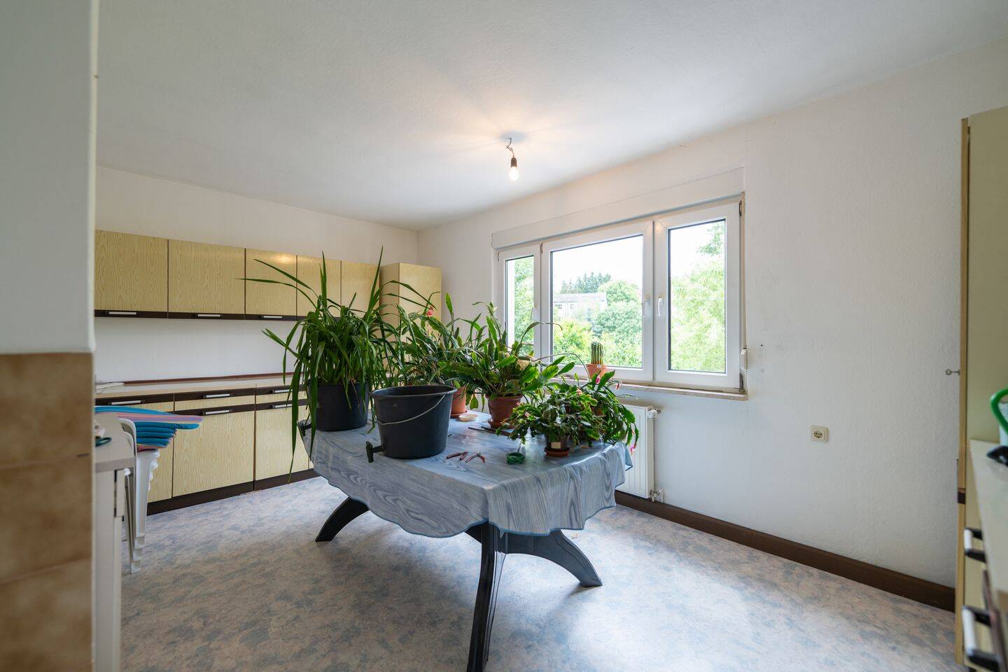 Einfamilienhaus zum Kauf - Mehr