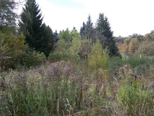 Grundstück zum Kauf 115.000 € 750 m² Grundstück Gablenz Gablenz 09127