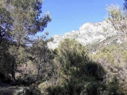 Grundstück zum Kauf 126.000 € 18.000 m² Grundstück Tarbena E-03518