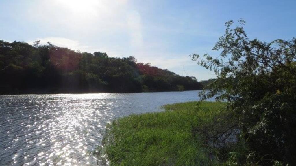 Grundstück zum Kauf 59.900 € 9.999.999 m² Grundstück Silves 69114000