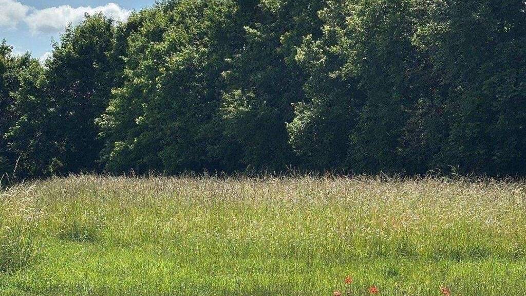 Grundstück zum Kauf 395.000 € 2.500 m² Grundstück Niederwerrn 97464