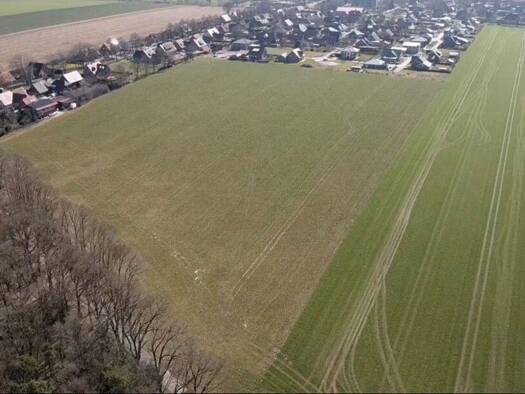 Grundstück zum Kauf 46.540 € 716 m² Grundstück frei ab sofort Berge 49626