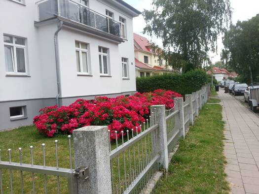 Wohnung zur Miete 675 € 2 Zimmer 75 m² Geschoss EG/3 frei ab 01.11.2026 Kniepervorstadt Stralsund 18435
