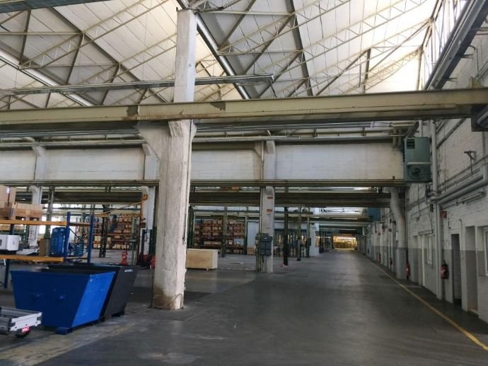 Halle/Industriefläche zur Miete 8.370 m²<br/>Lagerfläche ab 8.370 m²<br/>Teilbarkeit Frankenthal 131 Frankenthal 67227