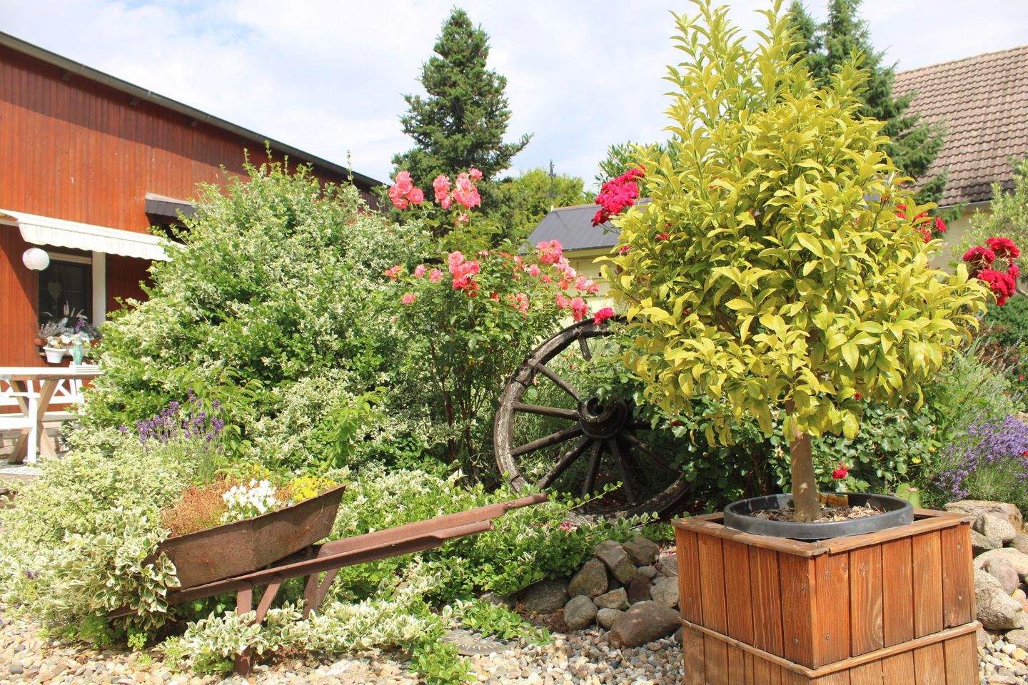 Immobilie in Torgau - Ihr Projekt beginnt hier – Hofidylle in Staupitz bei Torgau Vielseitiges Anwesen für Wohnen, Arbeiten und Genießen - Bild 3