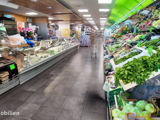 Laden zum Kauf 475,9 m² Verkaufsfläche Salzburg 5020