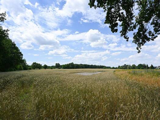 Land-/Forstwirtschaft zum Kauf 128.000 € 23.574 m² Grundstück Osterwald U. E. Garbsen 30826