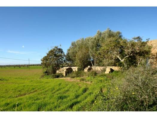 Acker-/Waldstück zum Kauf 682.000 € Campos 07630