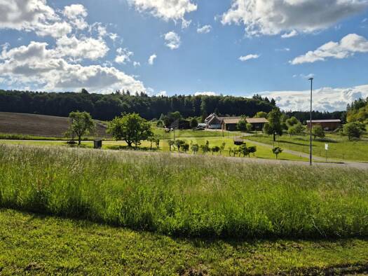 Grundstück zum Kauf 330.000 € 709 m² Grundstück Freudental Allensbach 78476
