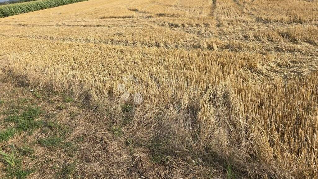 Land-/Forstwirtschaft zum Kauf 29.900 € Varazdin