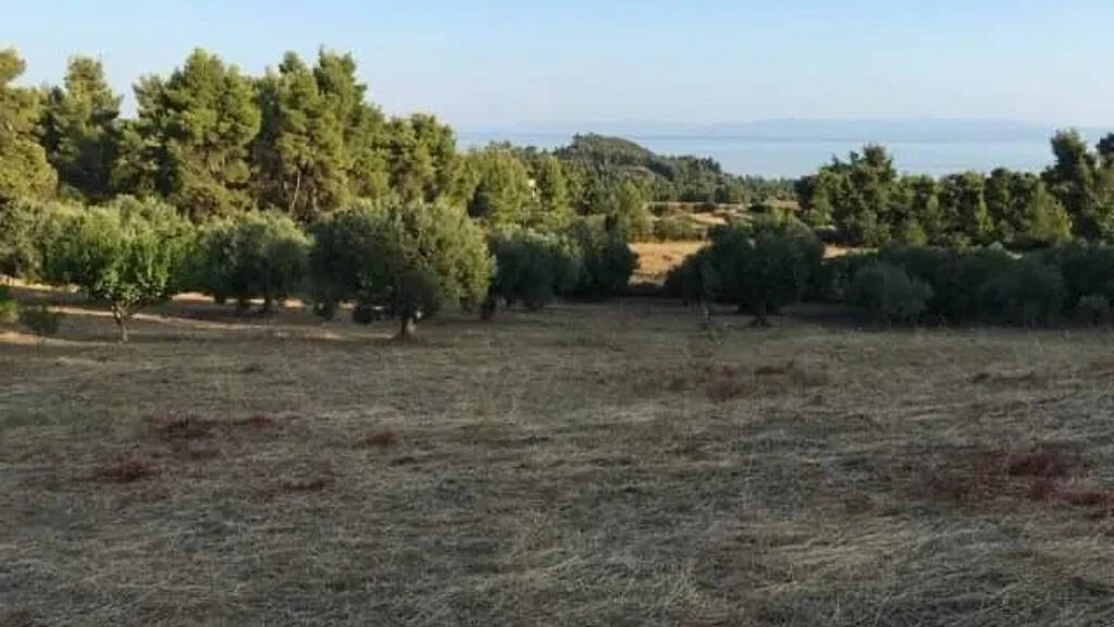 Land-/Forstwirtschaft zum Kauf 190.000 € 8.687 m² Grundstück Chalkidiki