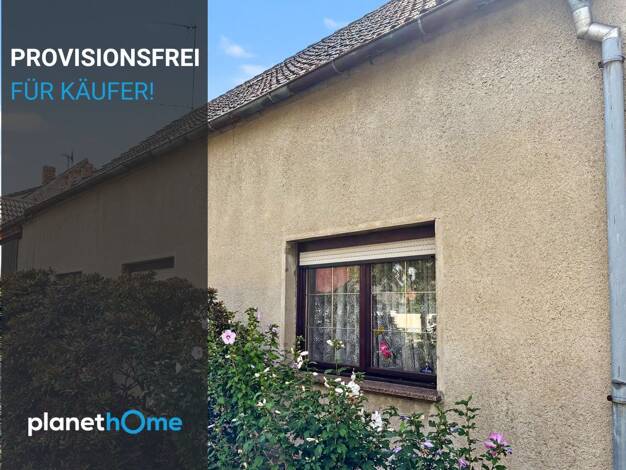 Einfamilienhaus zum Kauf provisionsfrei 70.000 € 5 Zimmer 115 m² 488 m² Grundstück Leipa Jessen (Elster) 06917